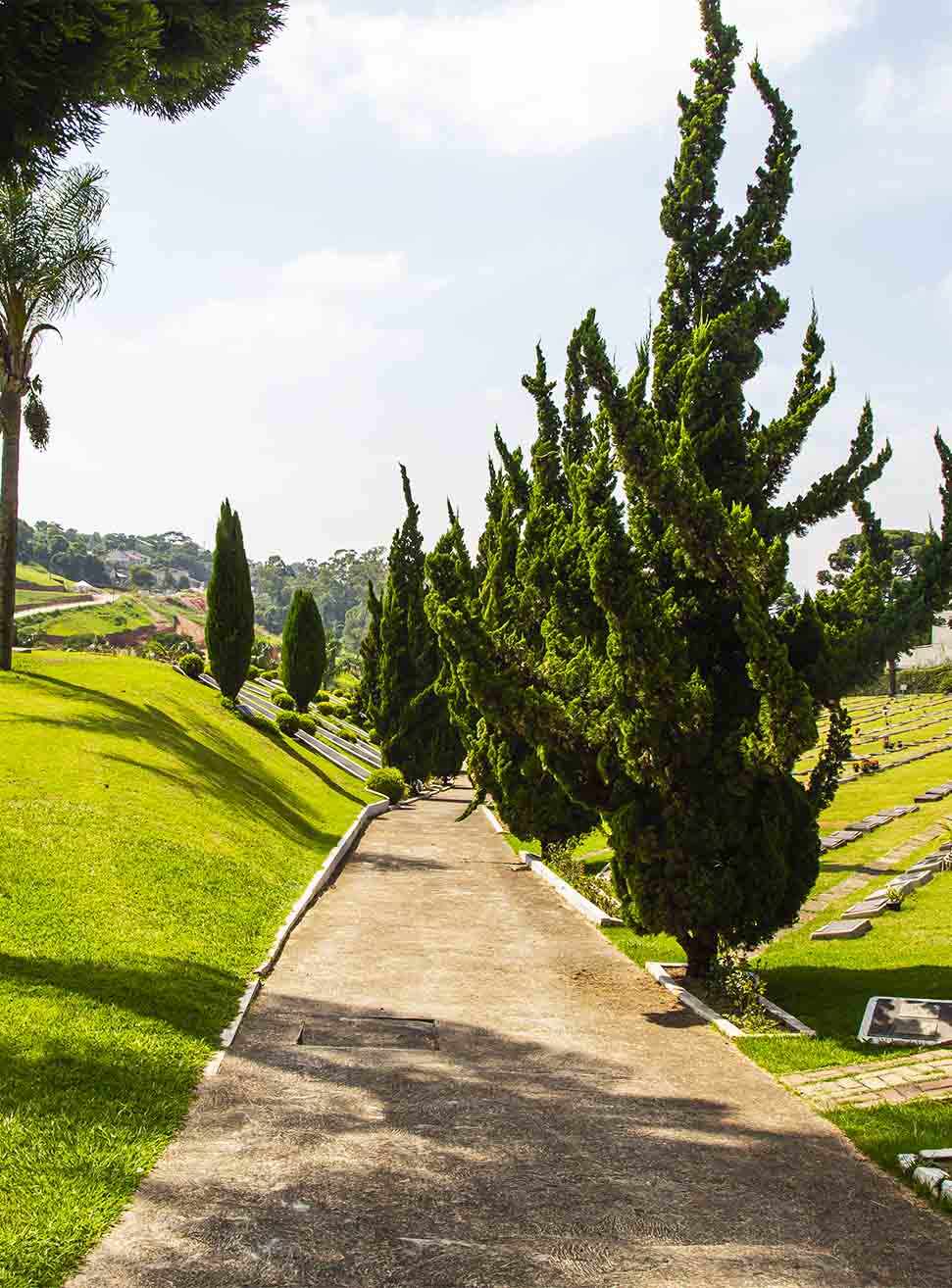 Foto Cemitério Parque Alphacampus
